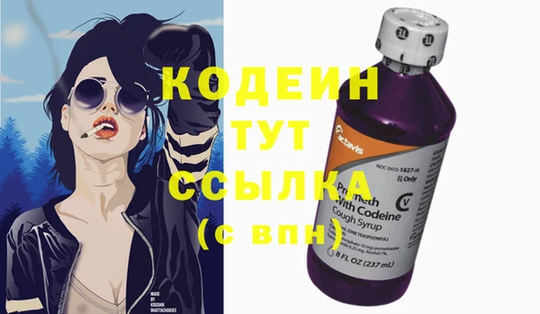 дживик Абаза