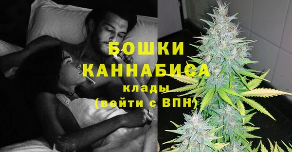 дживик Абаза