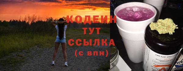 дживик Абаза