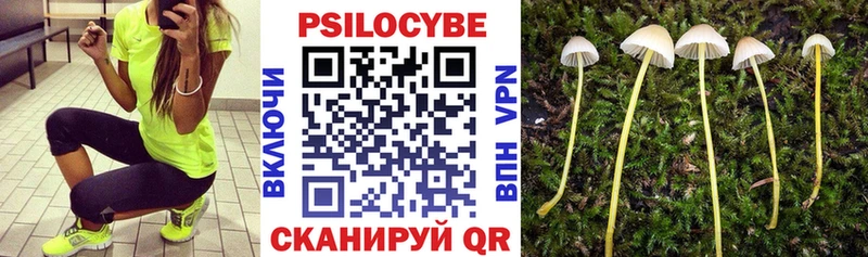 Галлюциногенные грибы ЛСД  цена наркотик  Подольск 